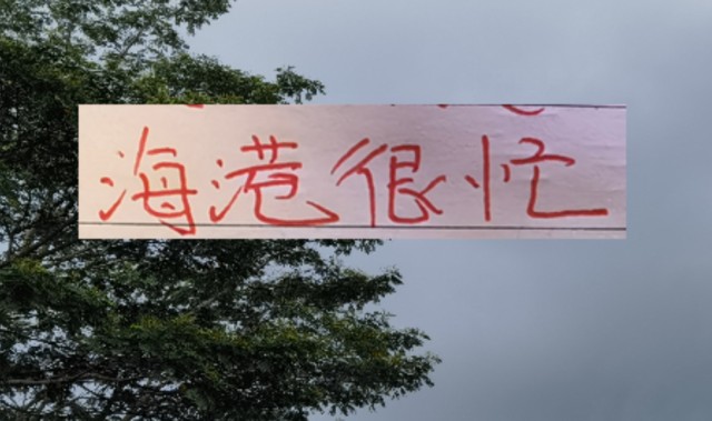 官方网站-2026年海港应该是最忙的球队 去年还有申花陪 今年只能是孤勇者