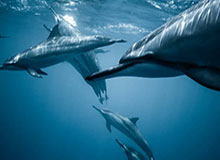 易建联：我决定正式告别我的篮球职业生涯